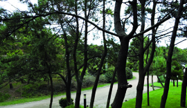medano